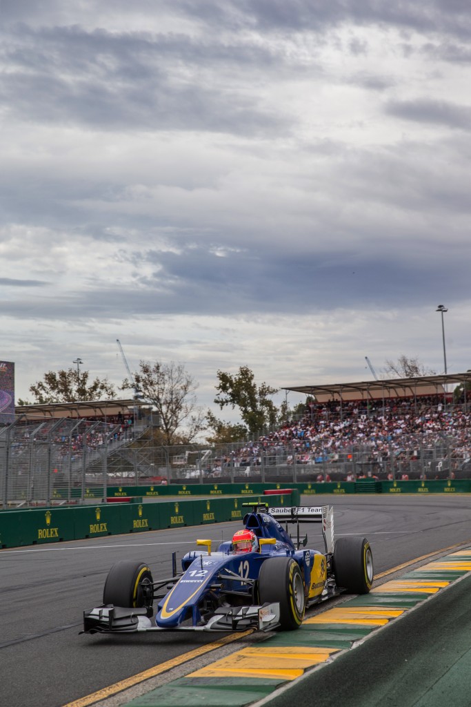 d_reinhard_aus_15_1884